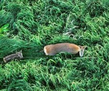 Industrie, immobilier, agriculture ....